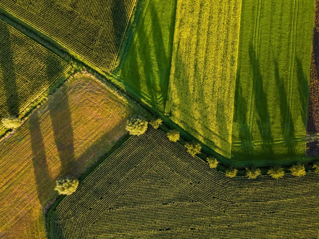 Obrađene parcele sa međama, snimak iz vazduha