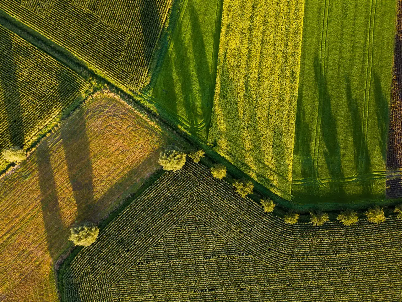 Obeležavanje parcele (omeđavanje)